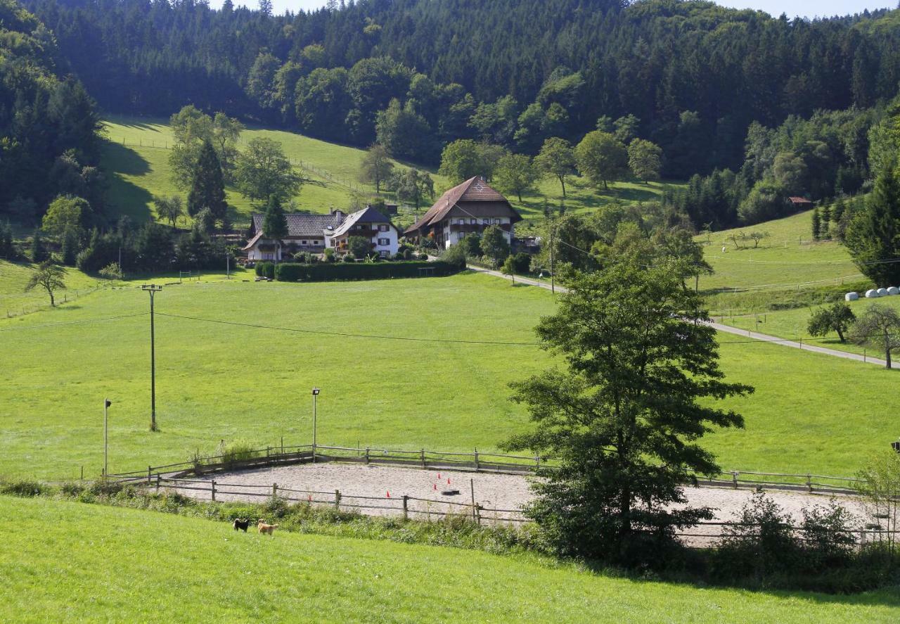 Kempfenhof Seelbach  Eksteriør bilde