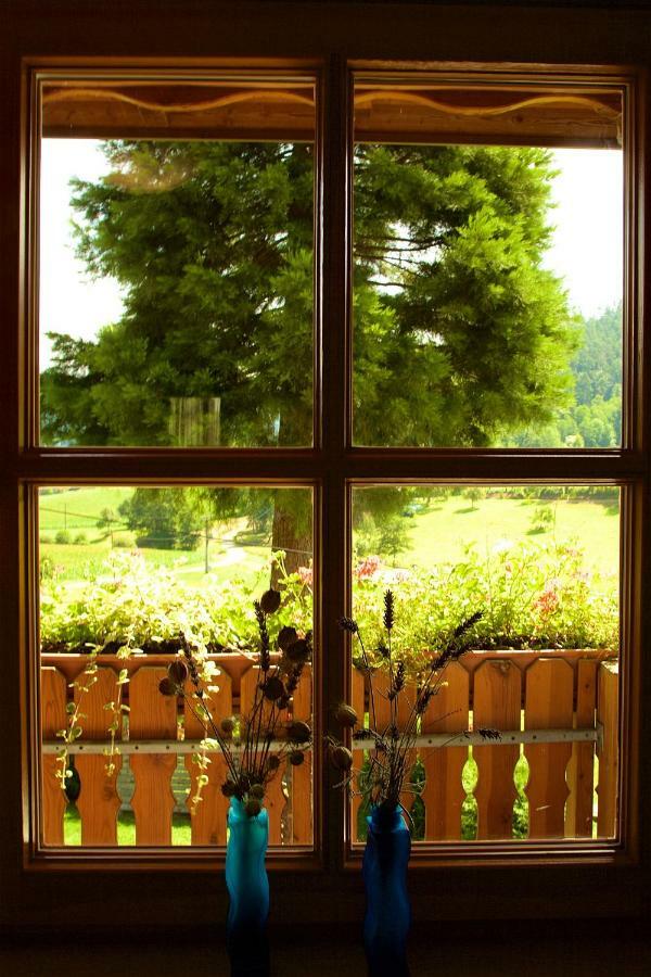 Kempfenhof Seelbach  Eksteriør bilde